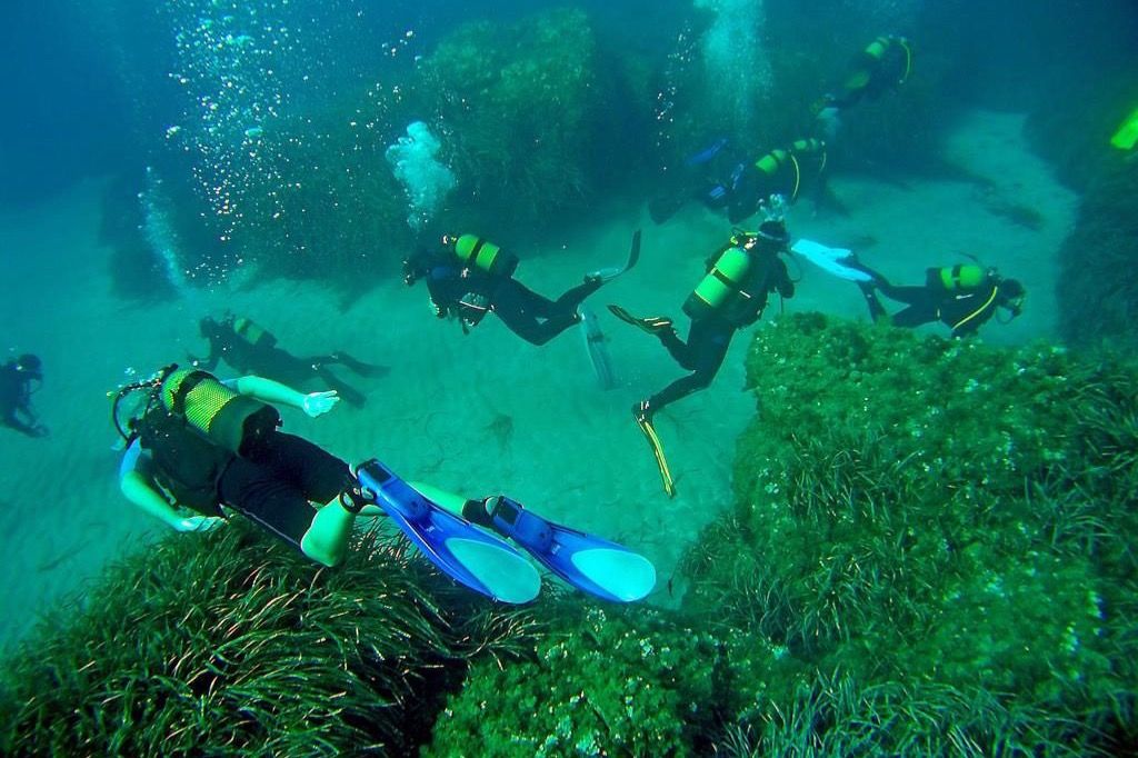 buceo-en-las-negras-4