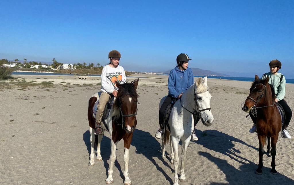 paseo-a-caballo-hasta-la-playa-2