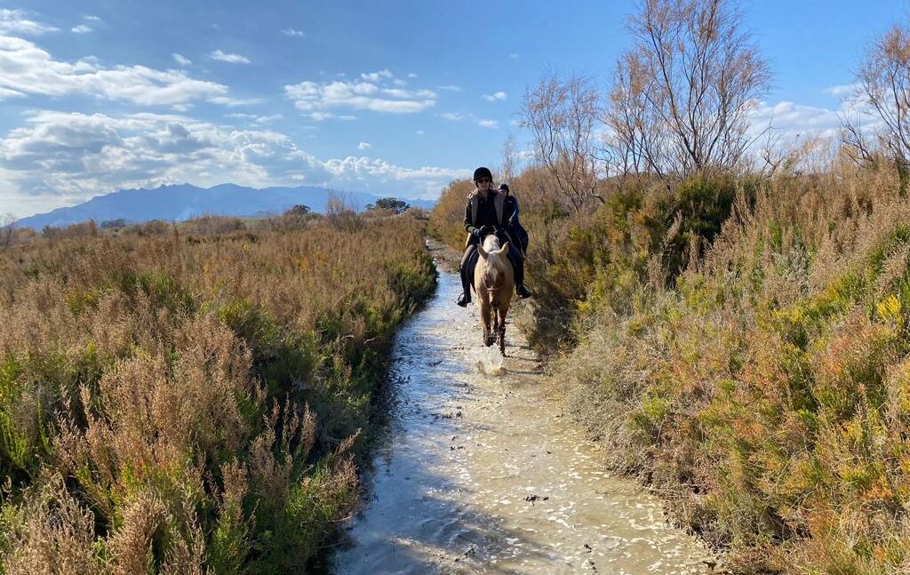 paseo-a-caballo-hasta-la-playa-3