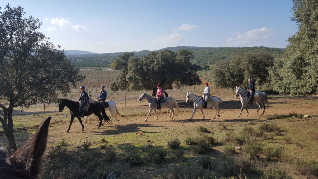 paseo-a-caballo-por-el-campo-en-vera-3