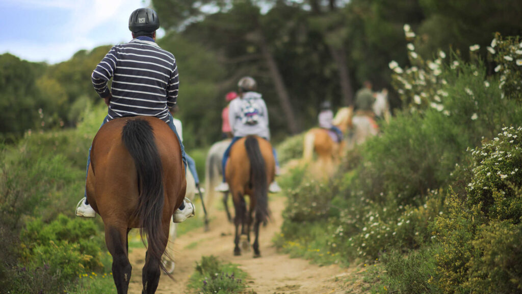 paseo-a-caballo-por-el-campo-en-vera-4