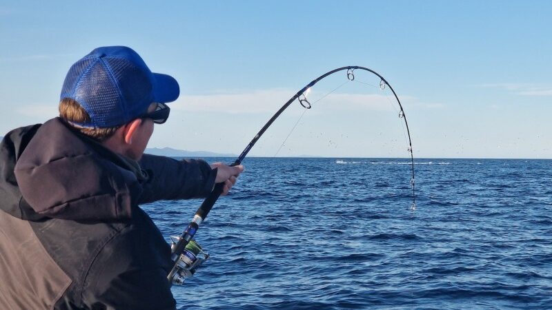 salida-de-pesca-en-barco-desde-garrucha-1