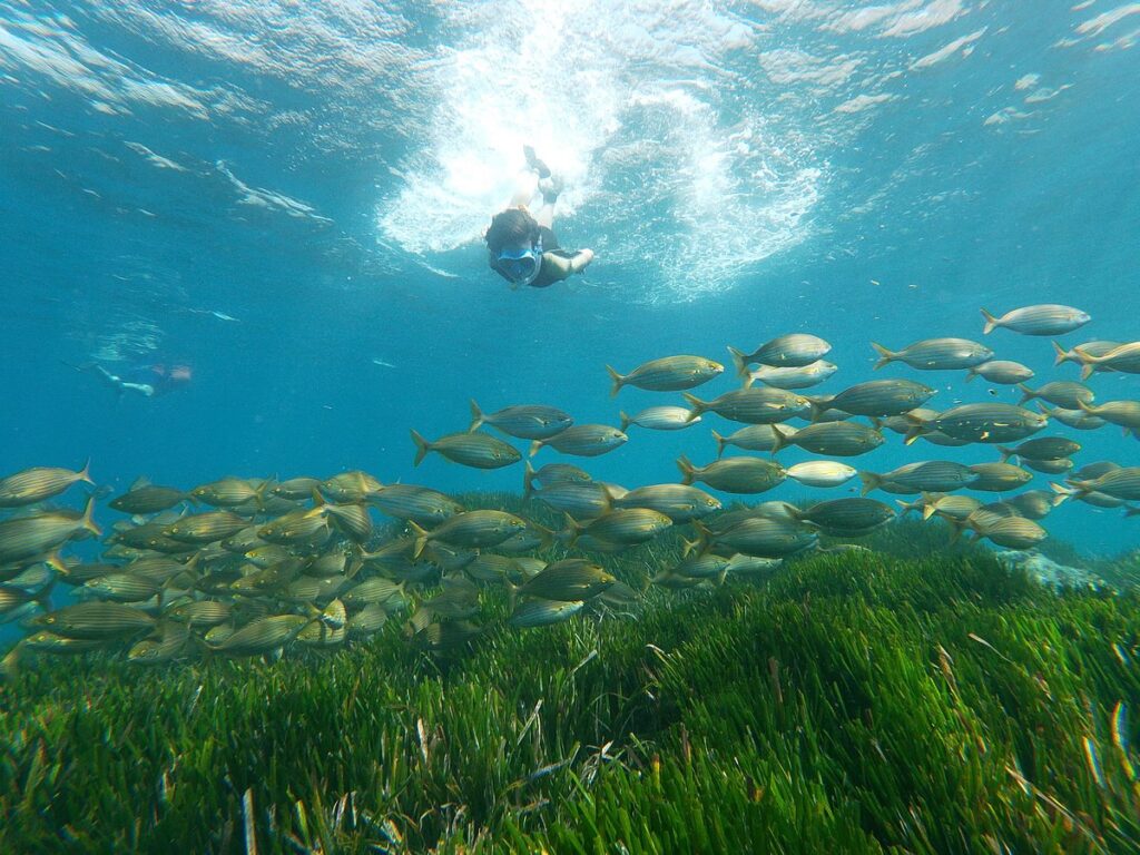 snorkel-san-jose-cabo-de-gata-monblu-3