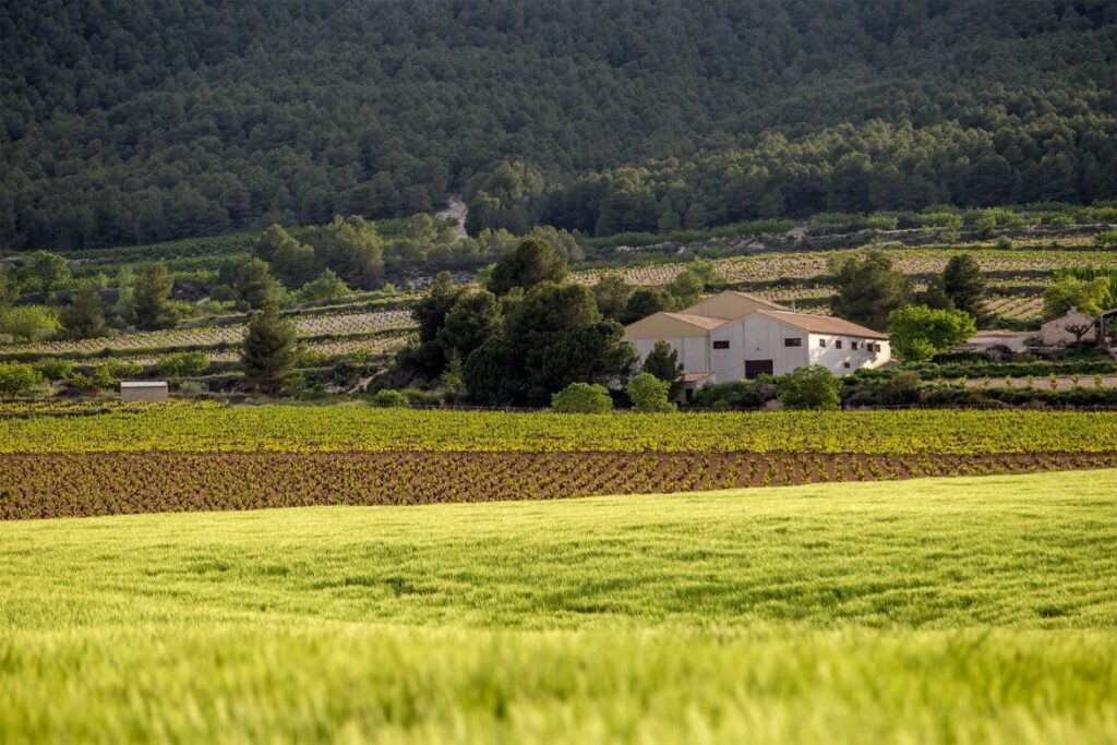 visita-bodega-balcona-1-monblu