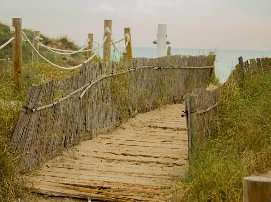 excursion-a-la-albufera-de-valencia-3-monblu