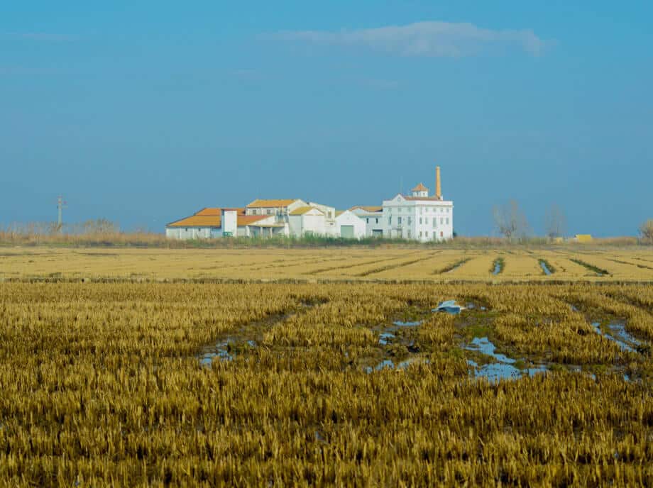 excursion-a-la-albufera-de-valencia-5-monblu