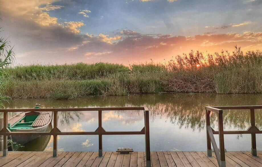 excursion-romantica-a-la-albufera-3-monblu