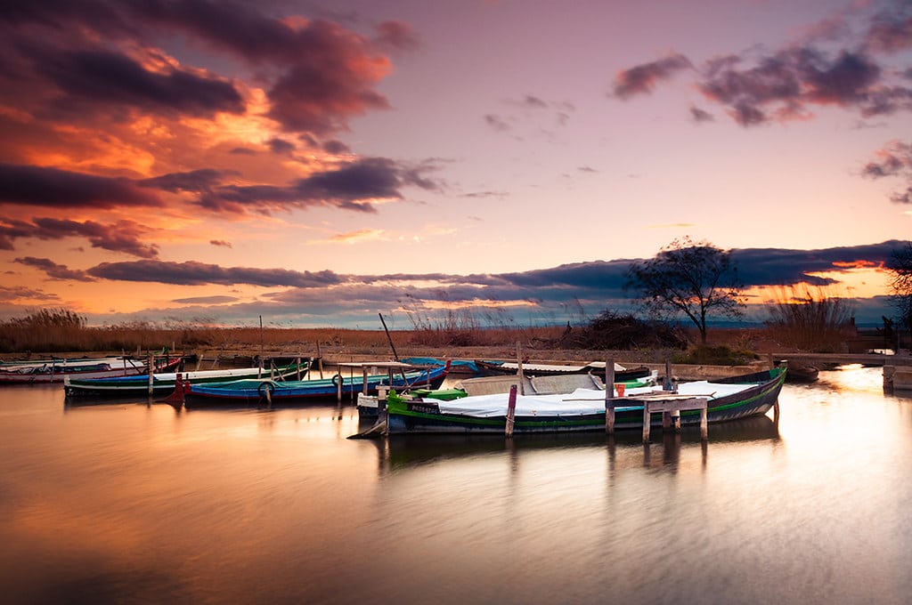 excursion-romantica-a-la-albufera-4-monblu