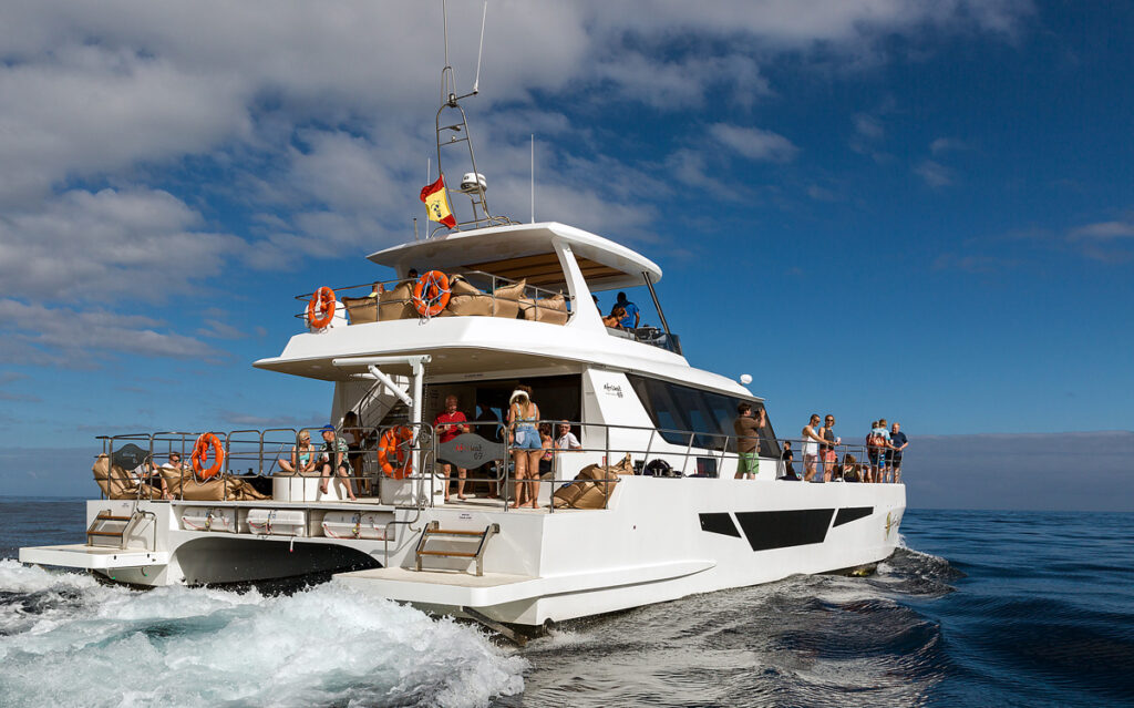 paseo-en-barco-por-la-mañana-desde-gran-canaria-4-monblu