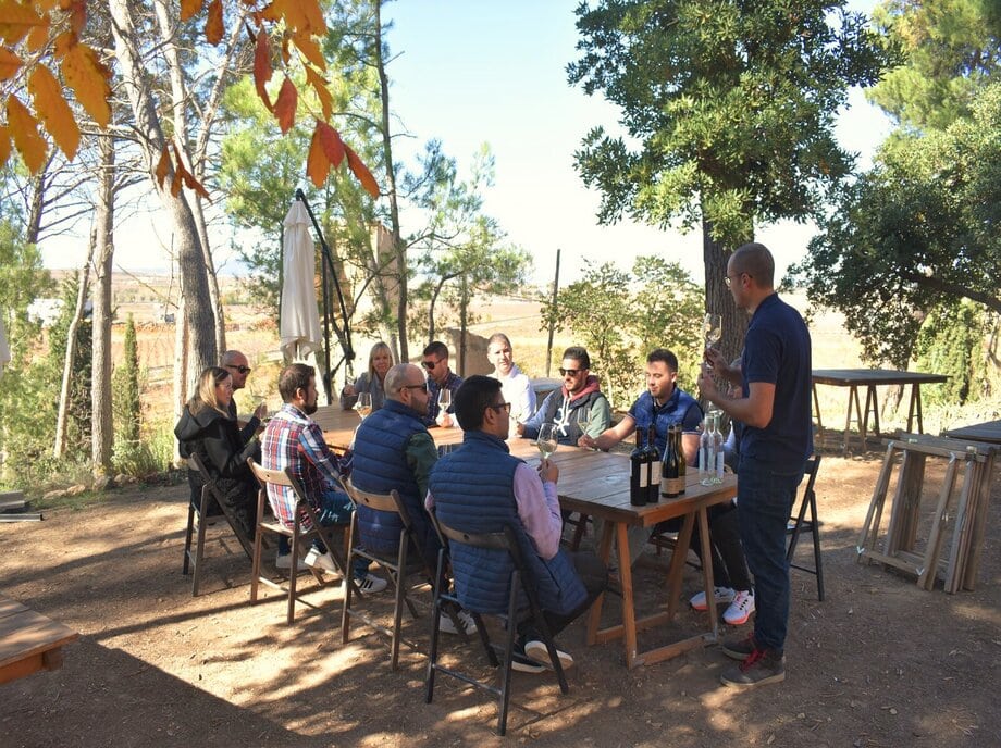 visita-bodega-caya-vino-utiel-requena-valencia-1-monblu