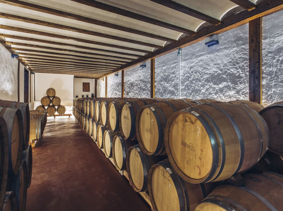 visita-bodega-caya-vino-utiel-requena-valencia-2-monblu