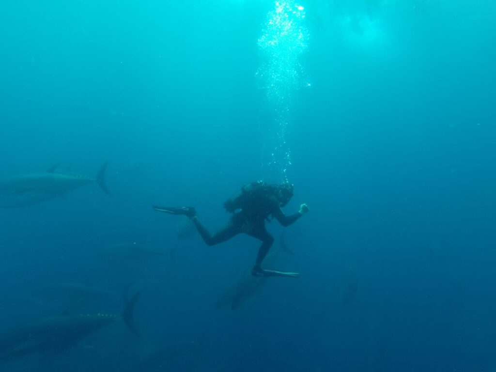 bautismo-buceo-aguas-de-tarragona-3-monblu