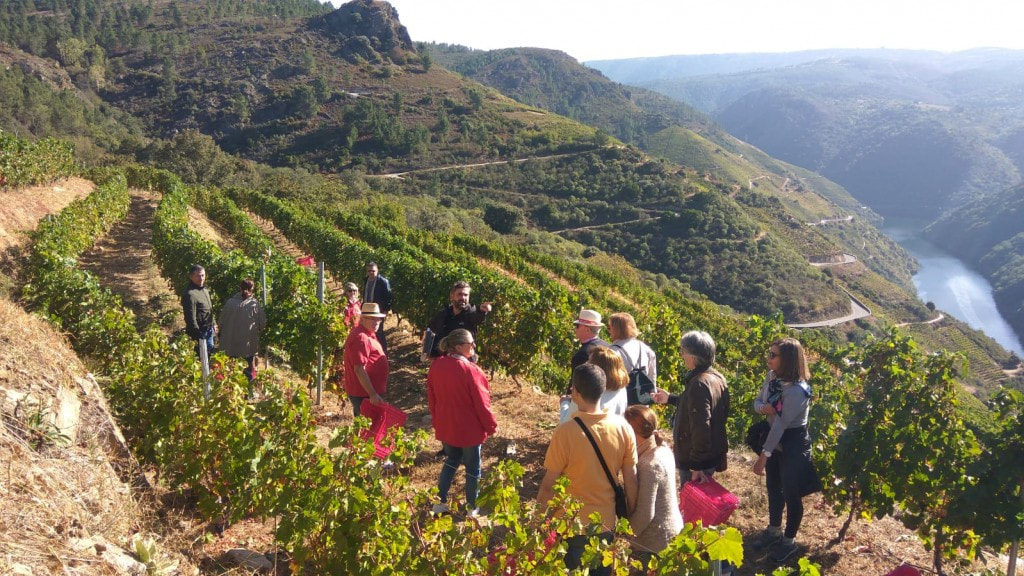 descubre-la-bodega-regina-viarum-4-monblu