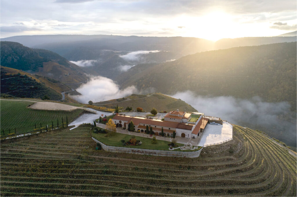 descubre-la-bodega-regina-viarum-5-monblu